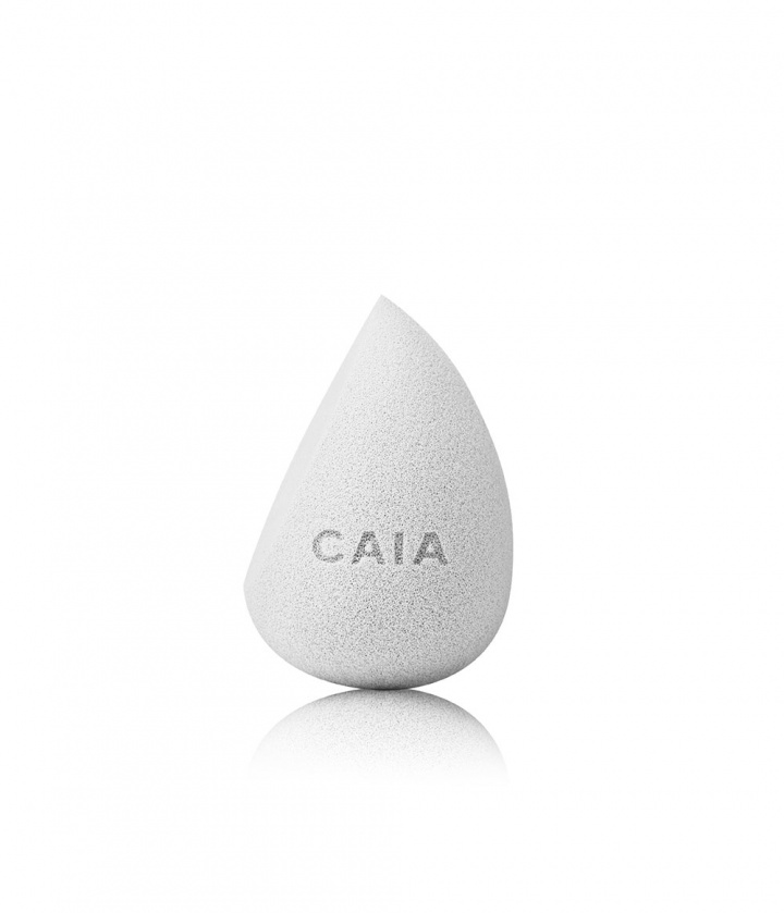 PERFECT ANGLED BLENDER i gruppen KOSTER & TILBEHØR hos CAIA Cosmetics (CAI542)
